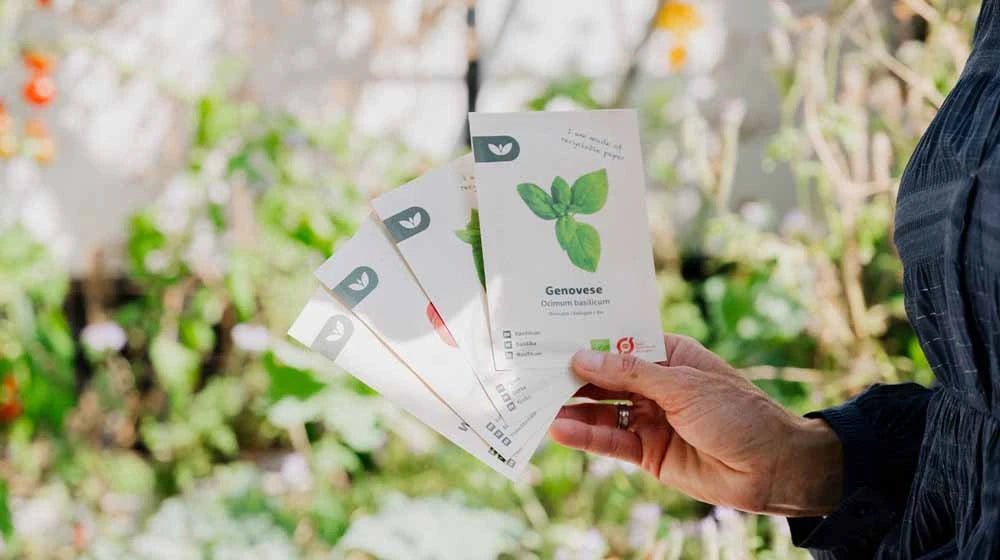 Urter frø - Blomea.no