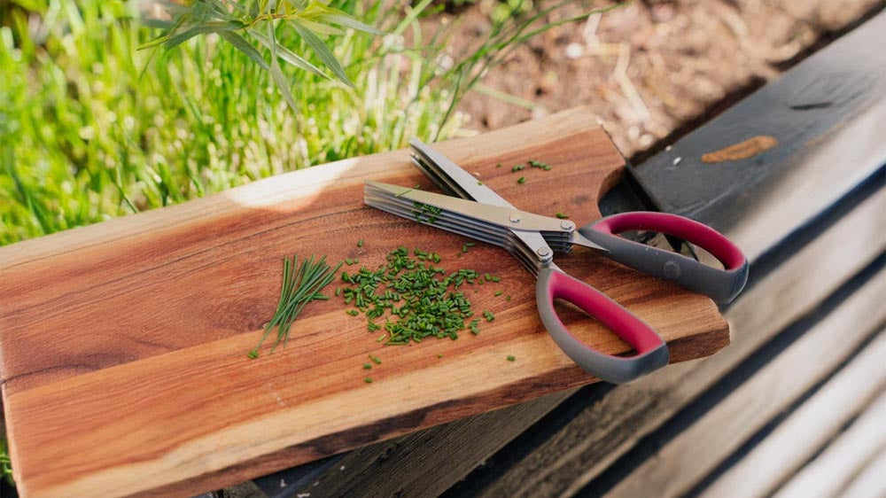 Urtesakser - Blomea.no