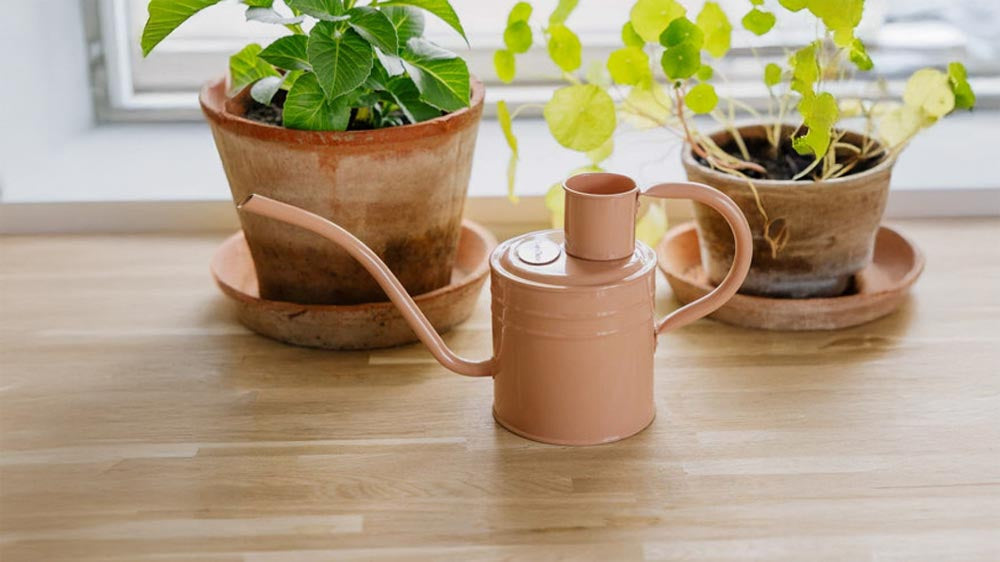 Vannkanner innendørs - Blomea.no