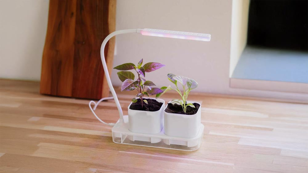 Vekstlamper - Blomea.no