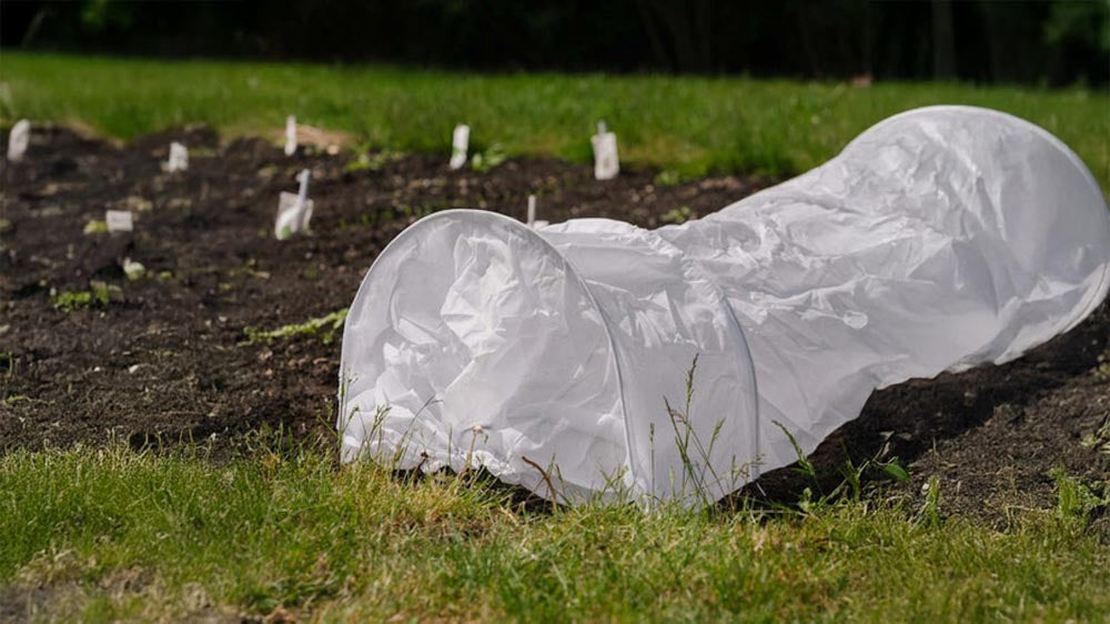 Veksttunneler - Blomea.no