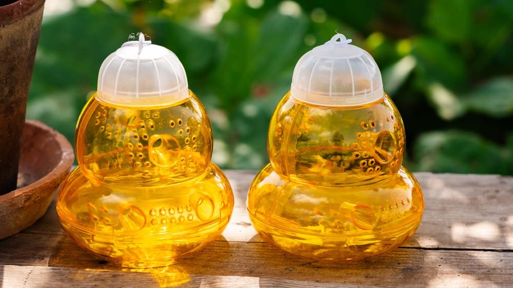 Vepsefelle - Blomea.no