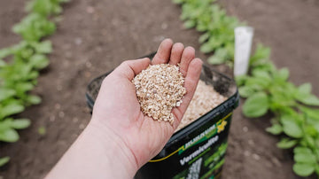 Vermiculite - Blomea.no