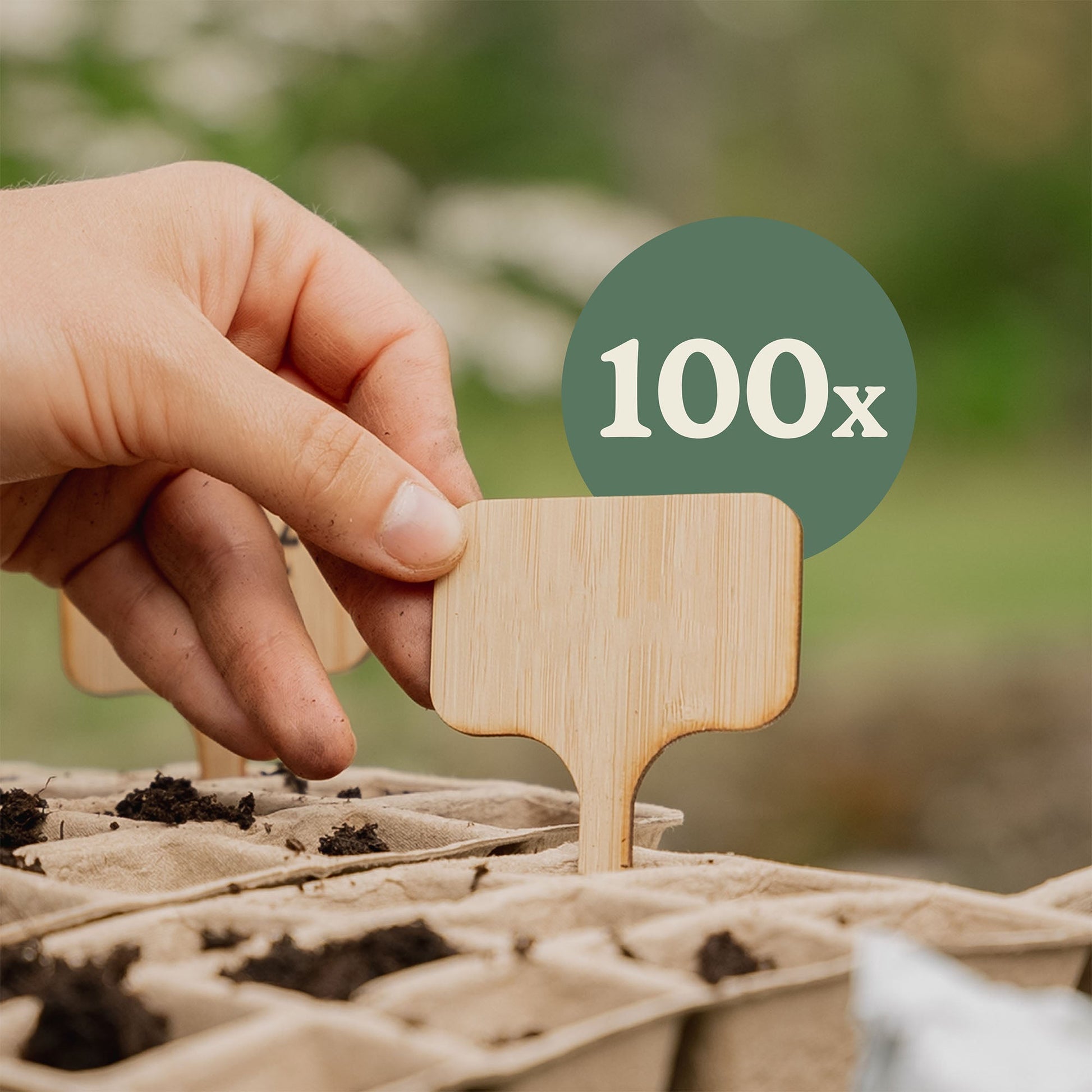 100 stk. bambus planteskilte