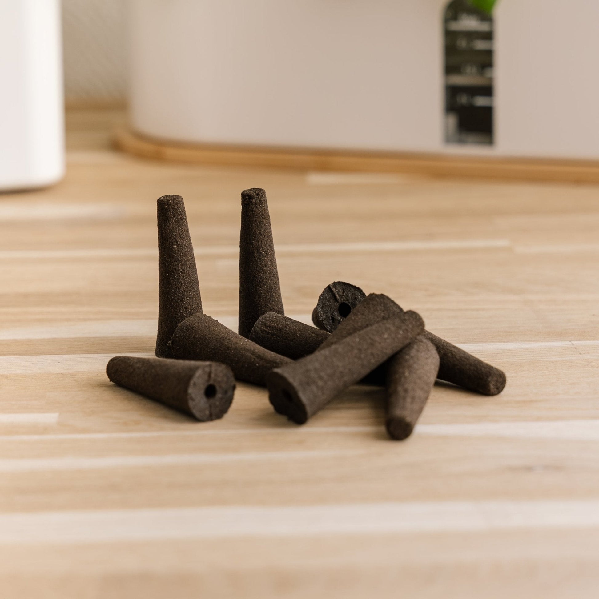 10x Plantesvamper til innendørs kjøkkenhager