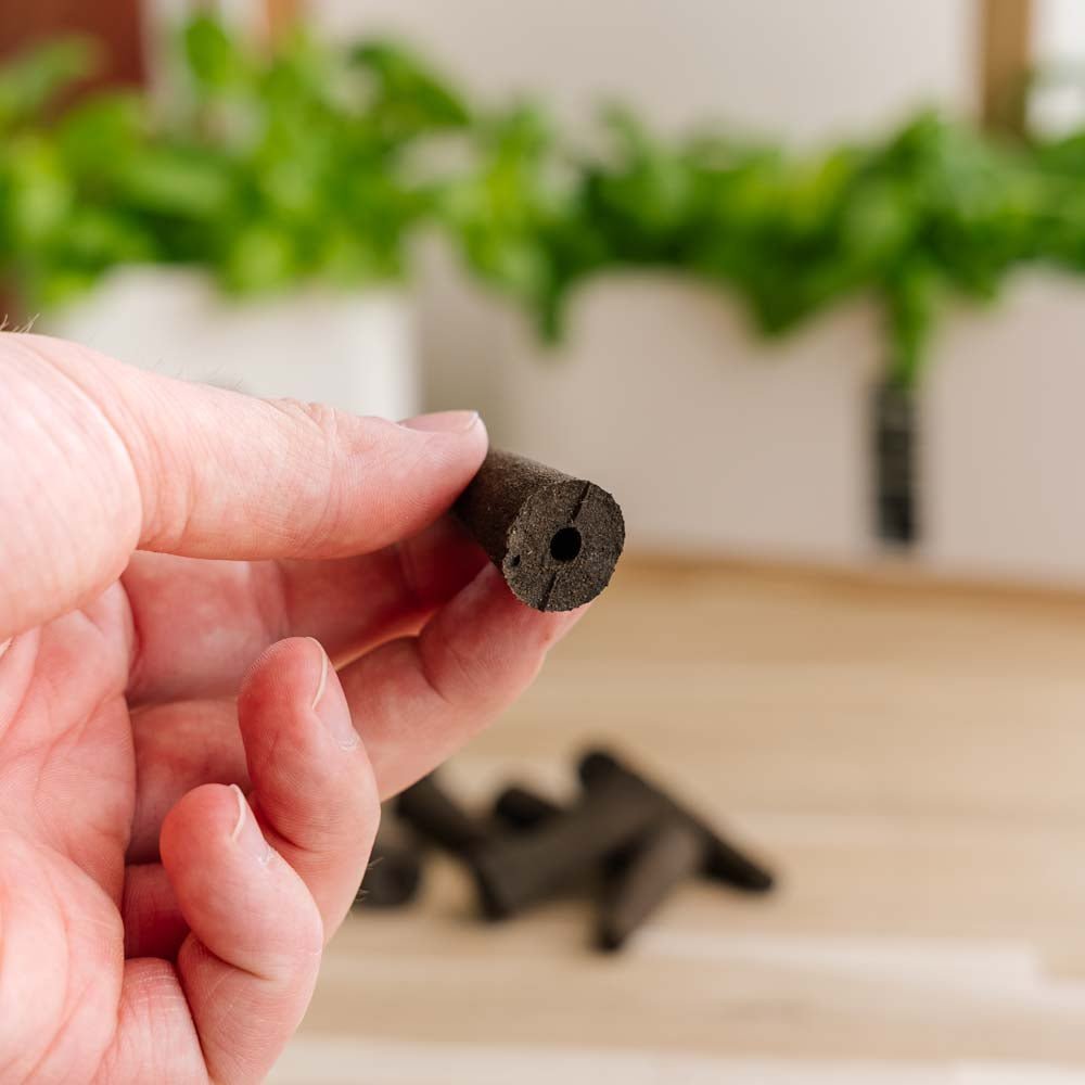 10x Plantesvamper til innendørs kjøkkenhager