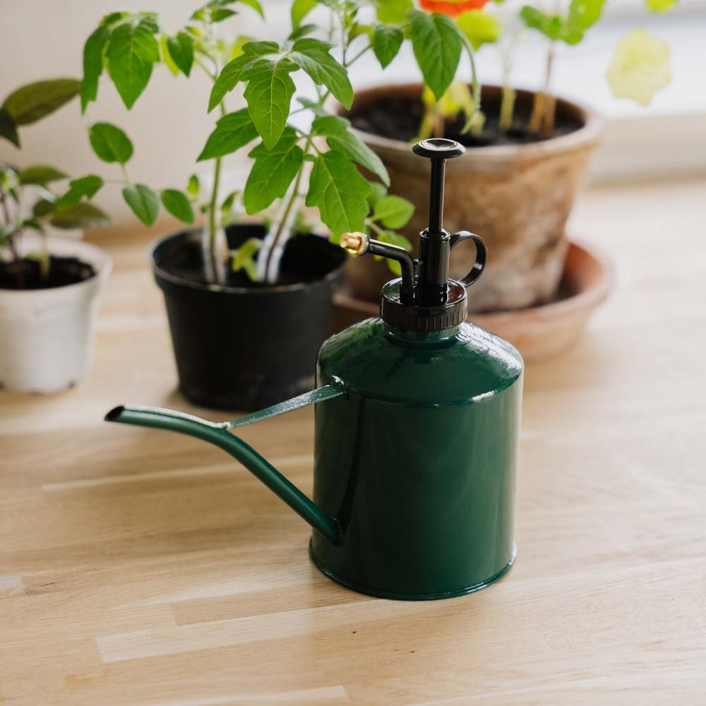 2 i 1 vannkanne & forstøver, 0,625 L