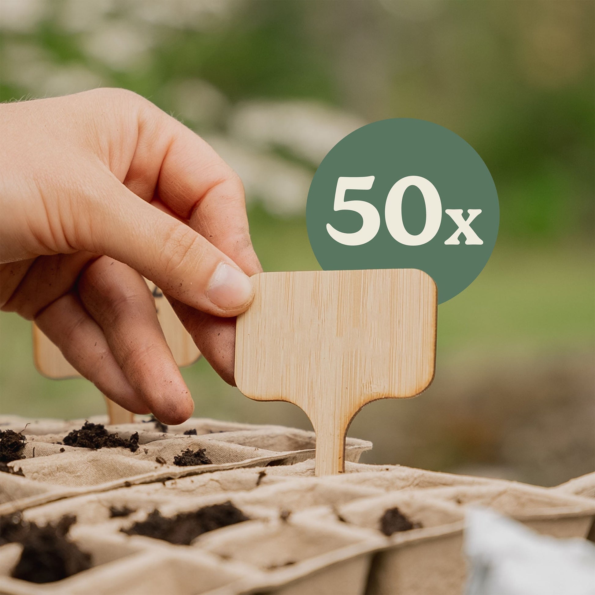 50 stk. bambus planteskilte