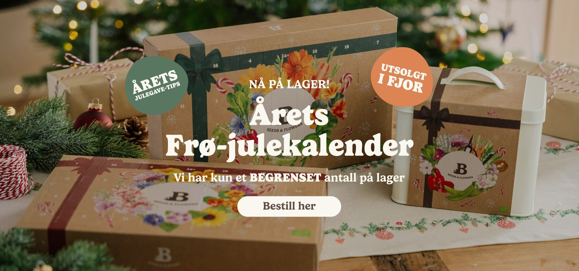 slider image slider_item_JjTb7m