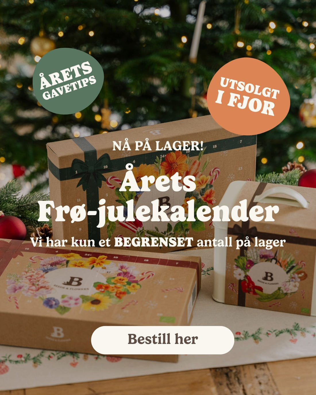 slider image slider_item_JjTb7m