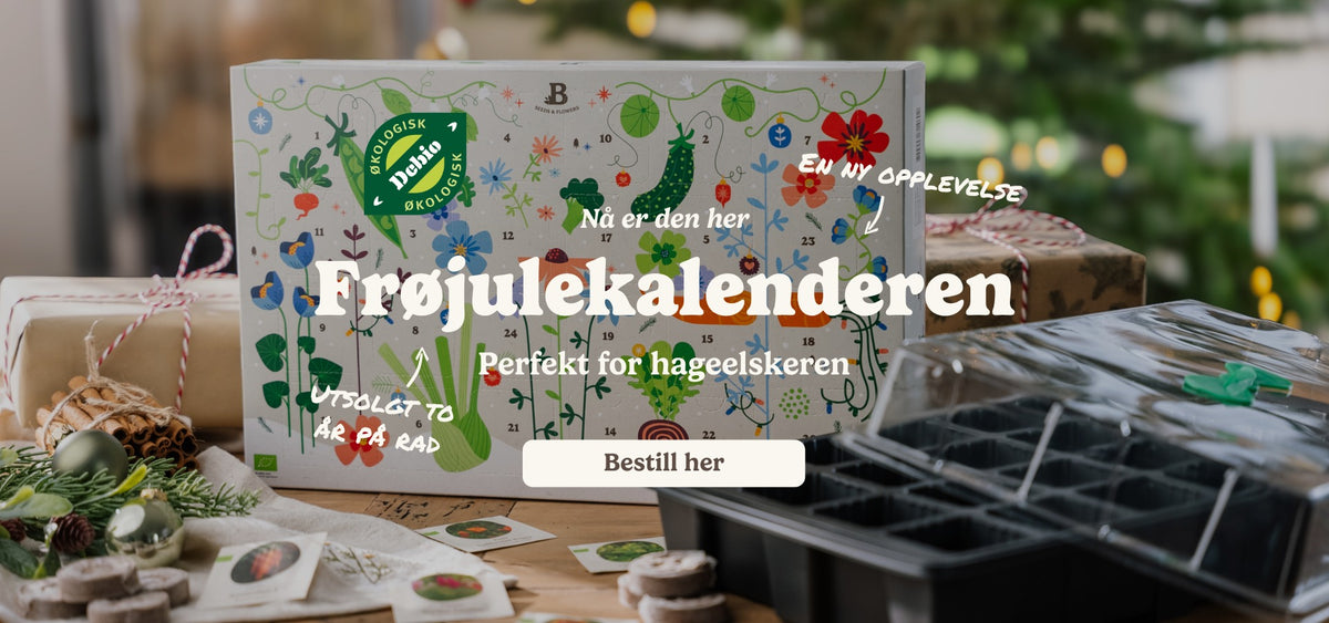 slider image slider_item_nnpF3c