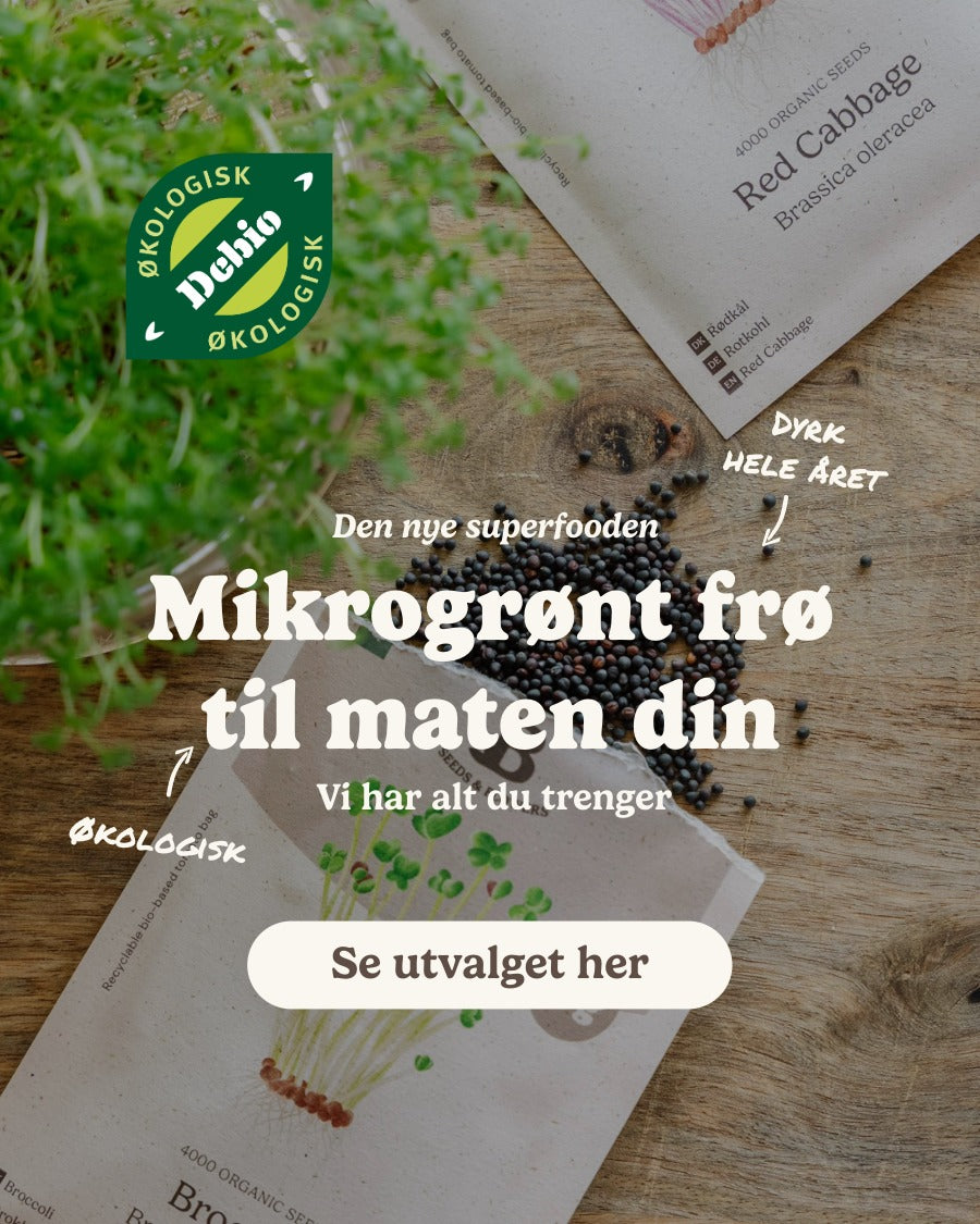 slider image slider_item_zbfdxY