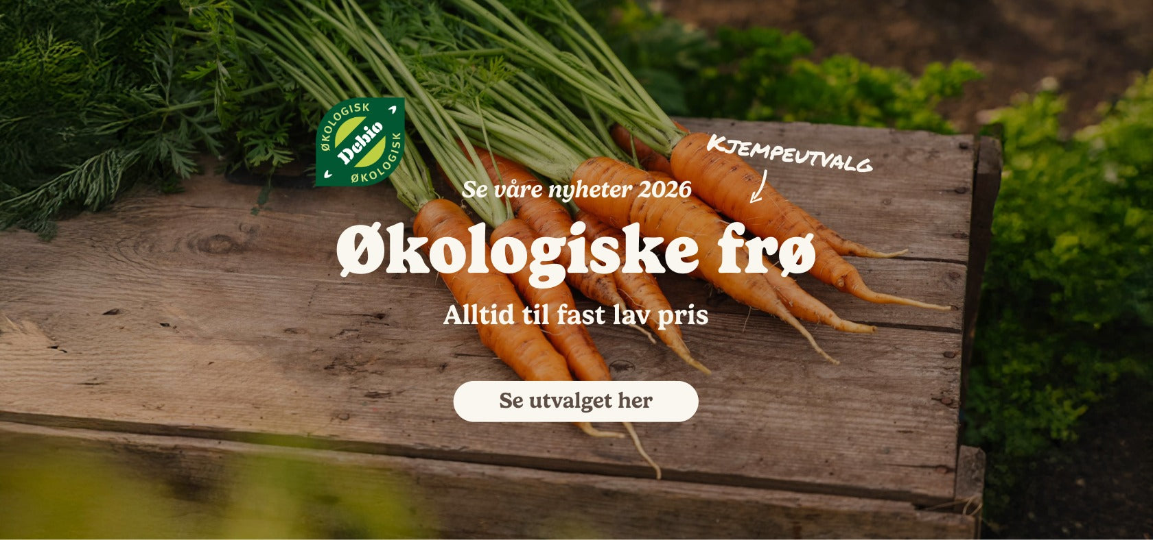 slider image slider_item_89EH9T