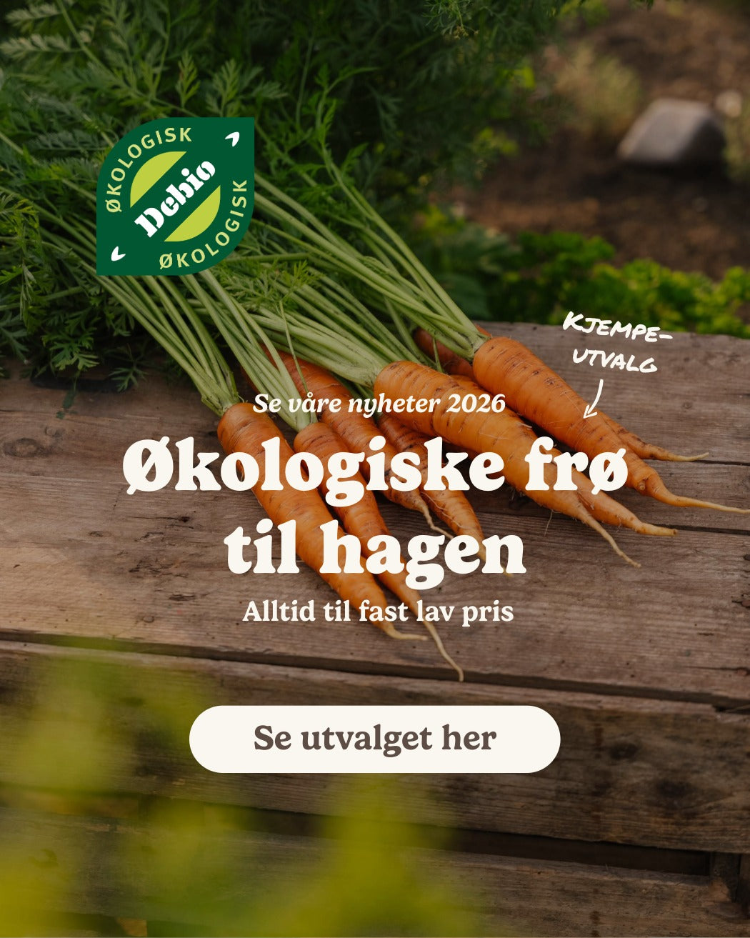 slider image slider_item_89EH9T