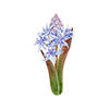 Vårblomster