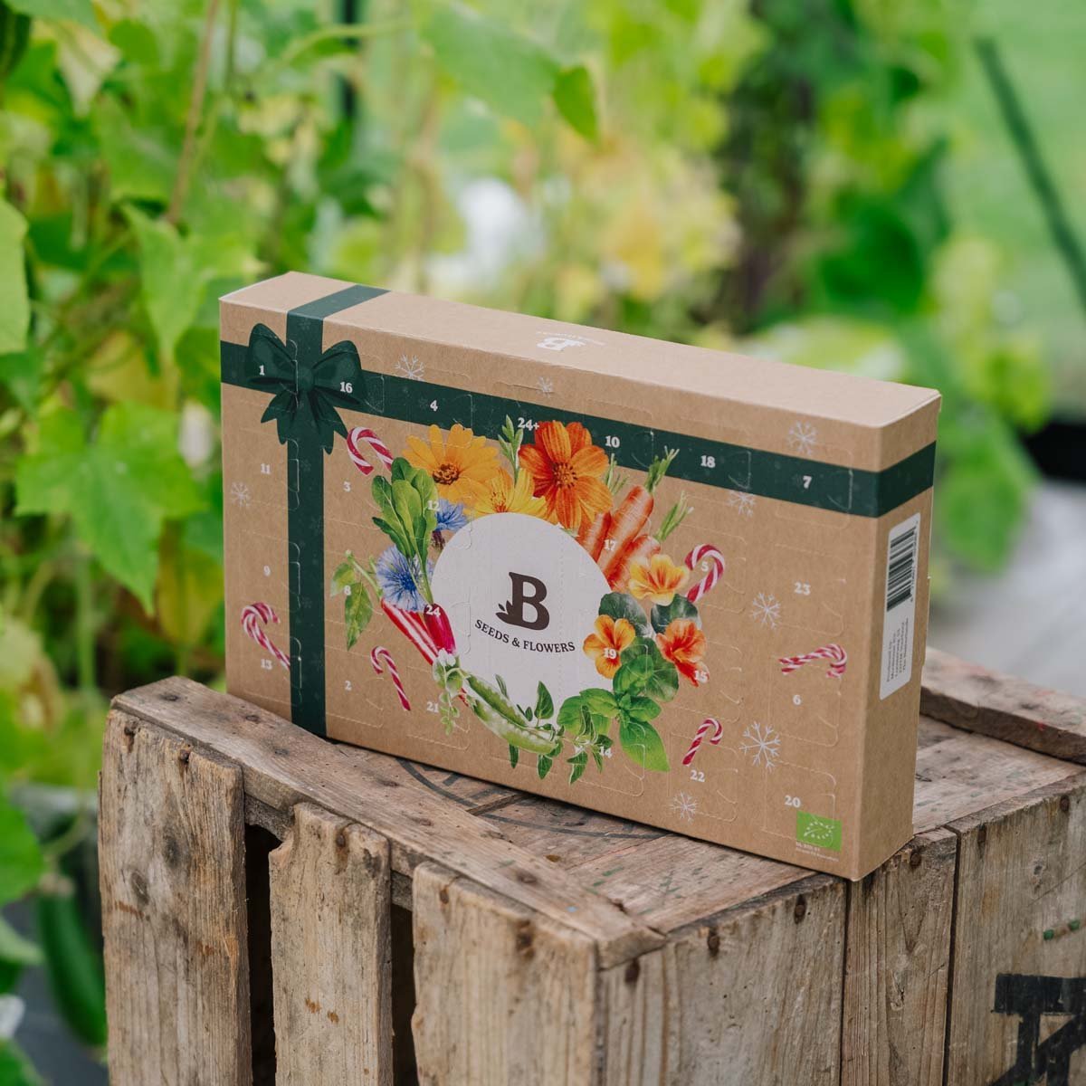 Årets Frø Julekalender