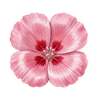 Blomsterfrø