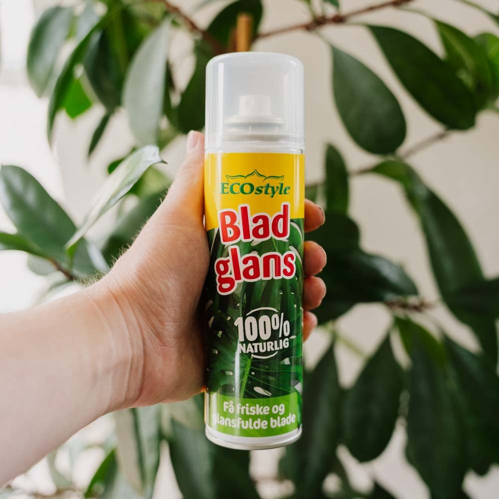 Bladglans 200 ml