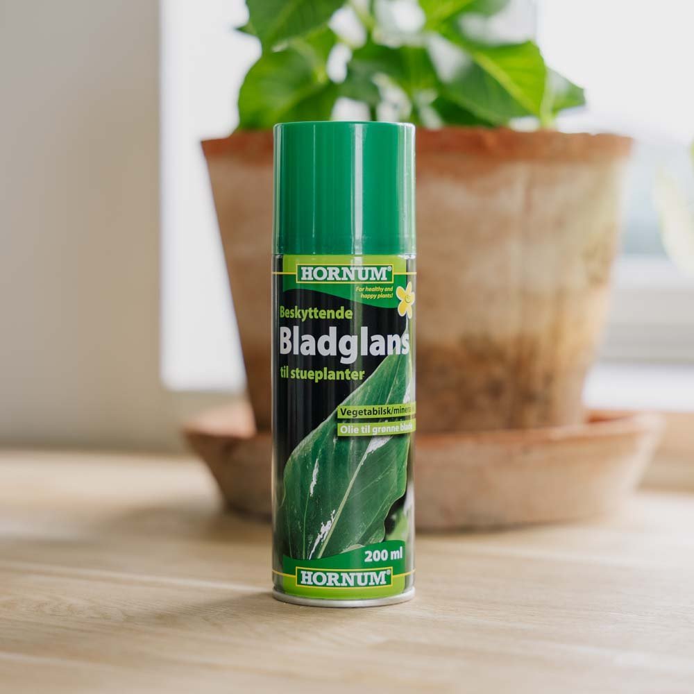 Bladglans, 200 ml