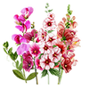 Blomsterfrø