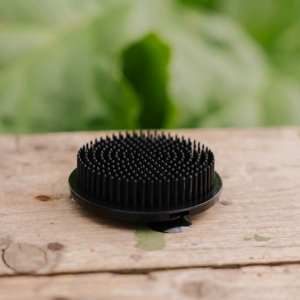 Blomsterholder, svart (plast), Ø: 6,9 cm