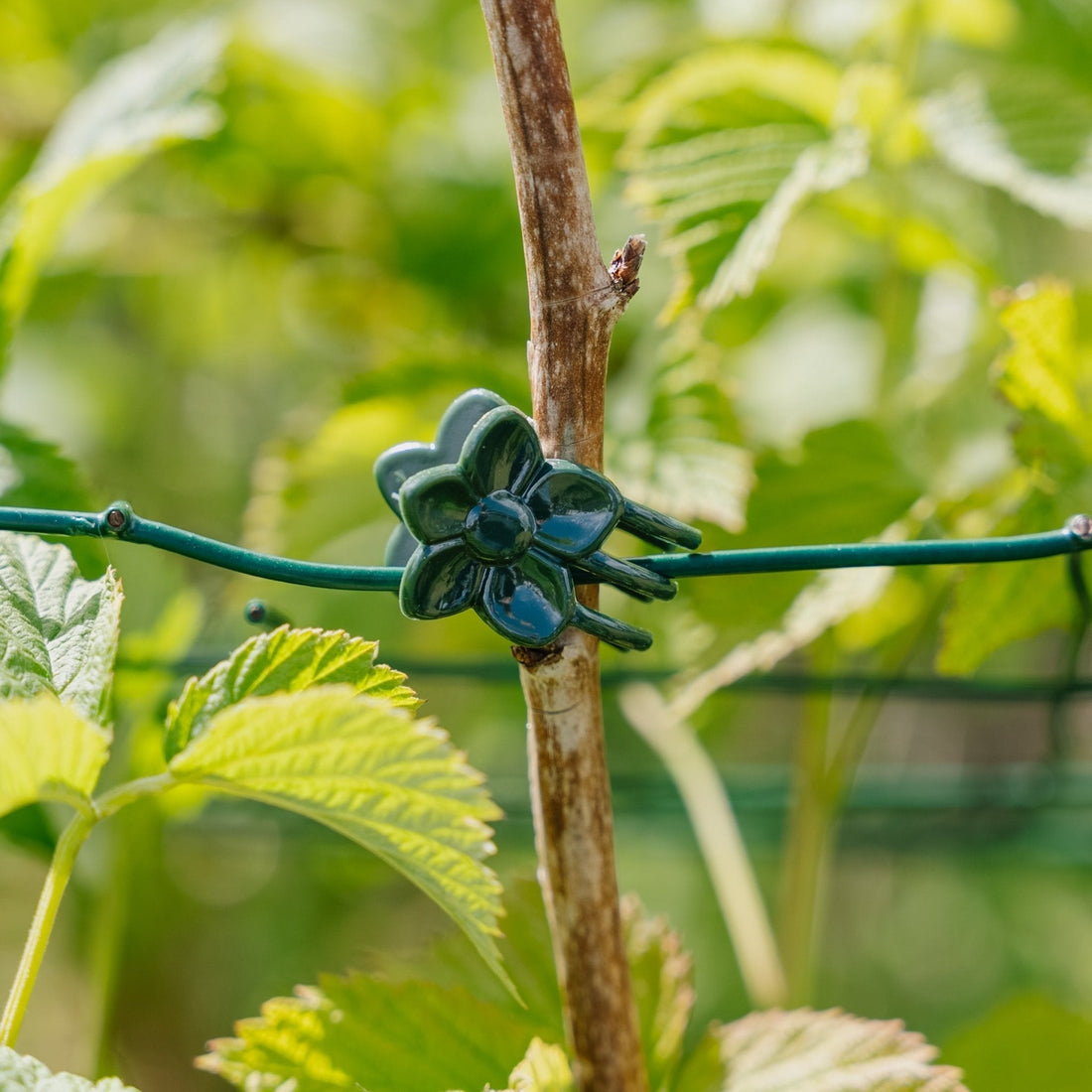 Blomsterklemmer, 10 stk.