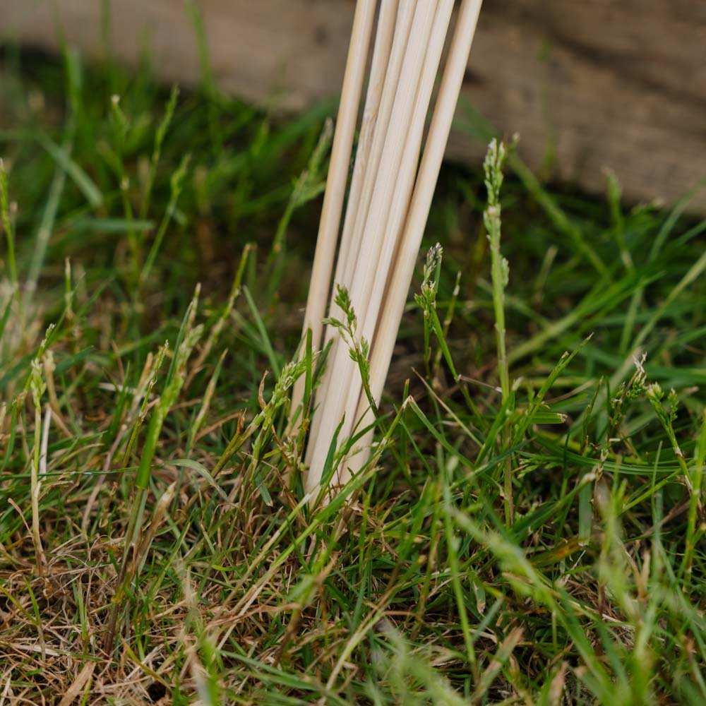 Blomsterpinner. H30 cm 10 stk./bdt.