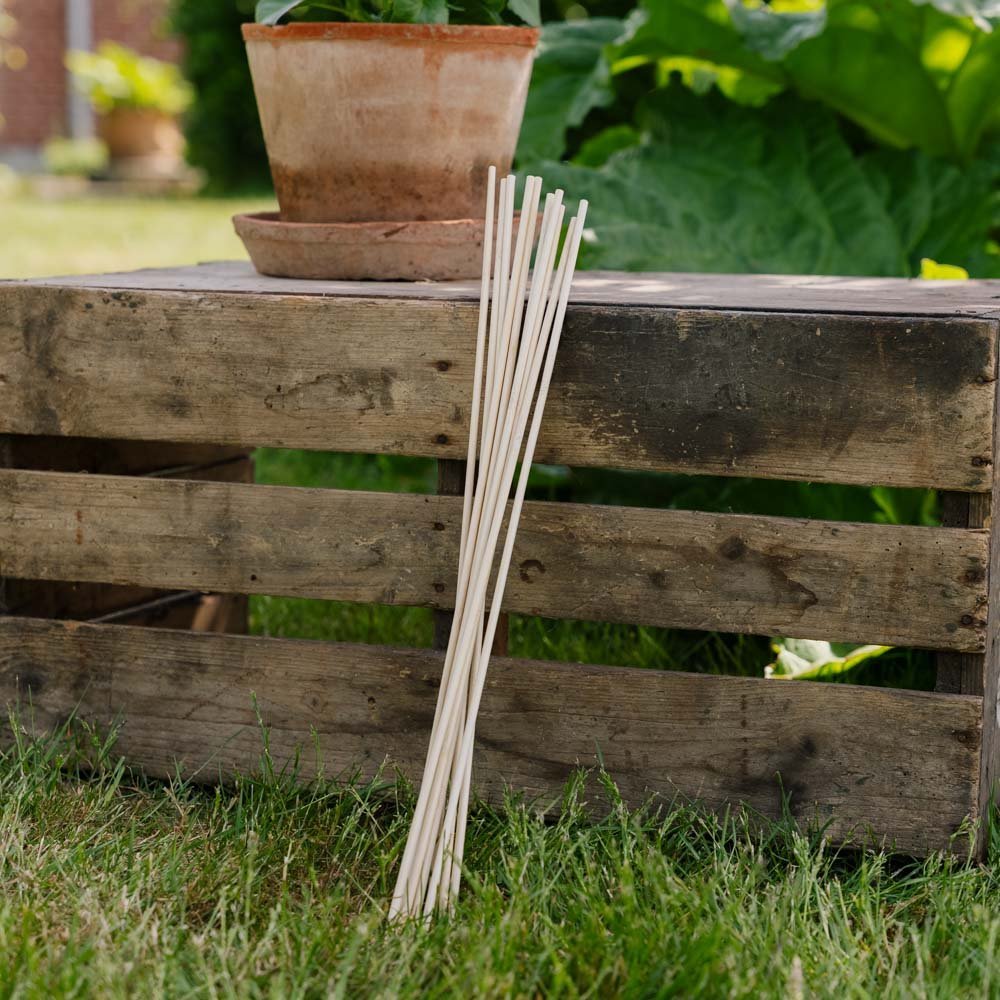 Blomsterpinner. H50 cm 10 stk./bdt.