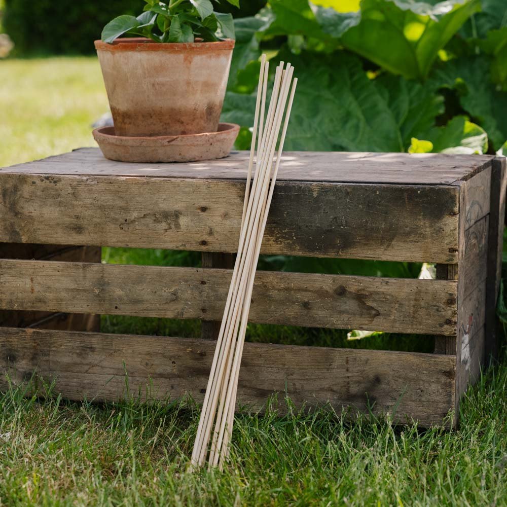 Blomsterpinner. H60 cm 10 stk./bdt.