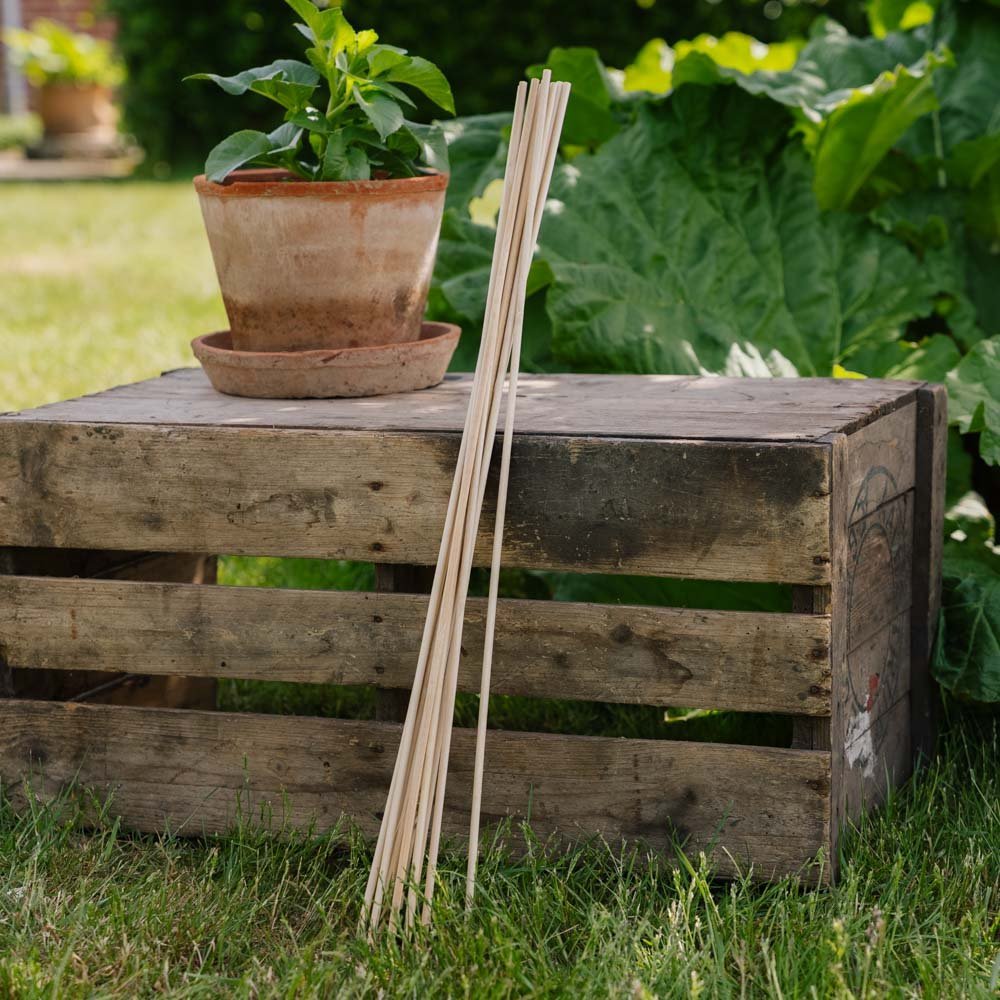 Blomsterpinner. H70 cm 10 stk./bdt.