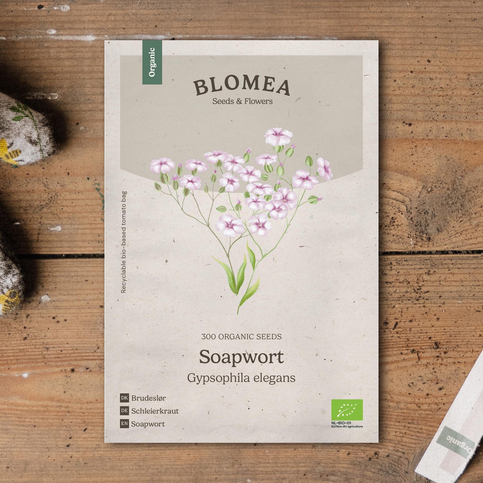 Brudeslør frø 'Soapwort' - 300 Økologiske Frø