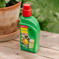 Citrus og olivengjødsel, 500 ml