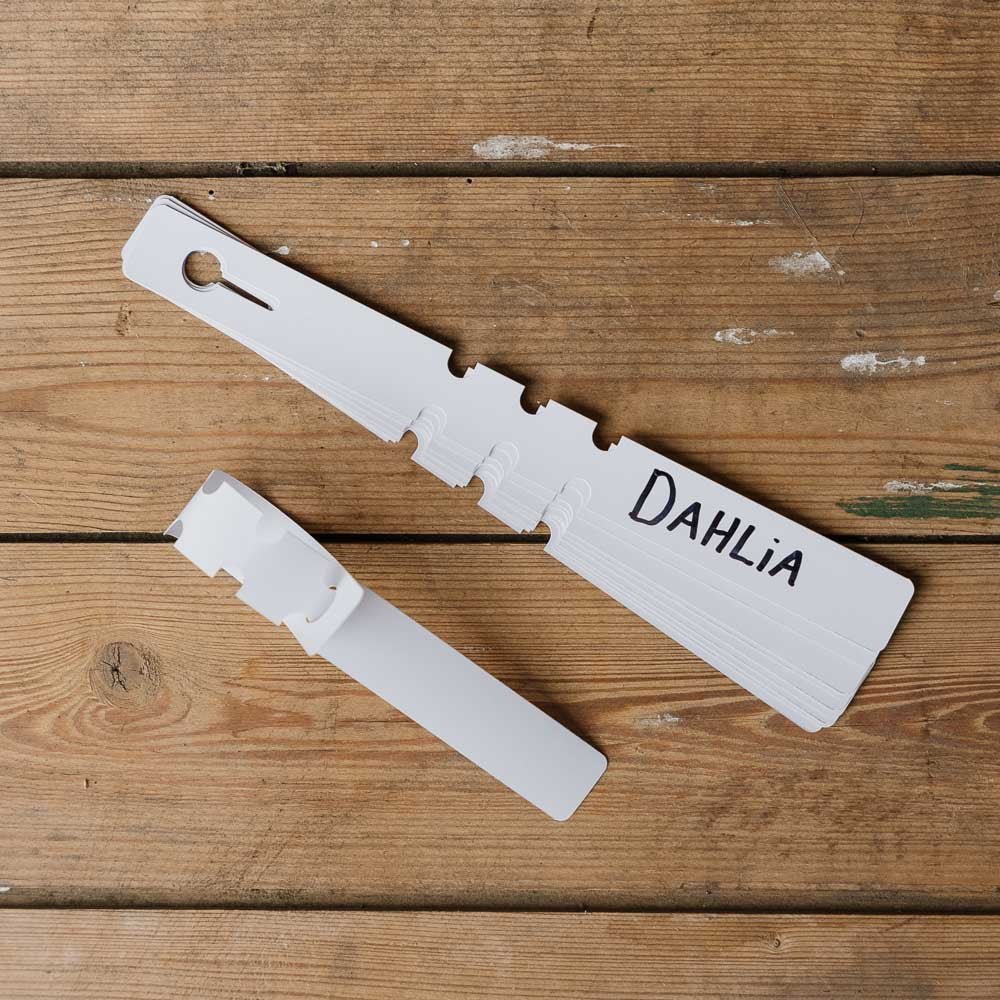Dahlia merkelapper, 10 stk.