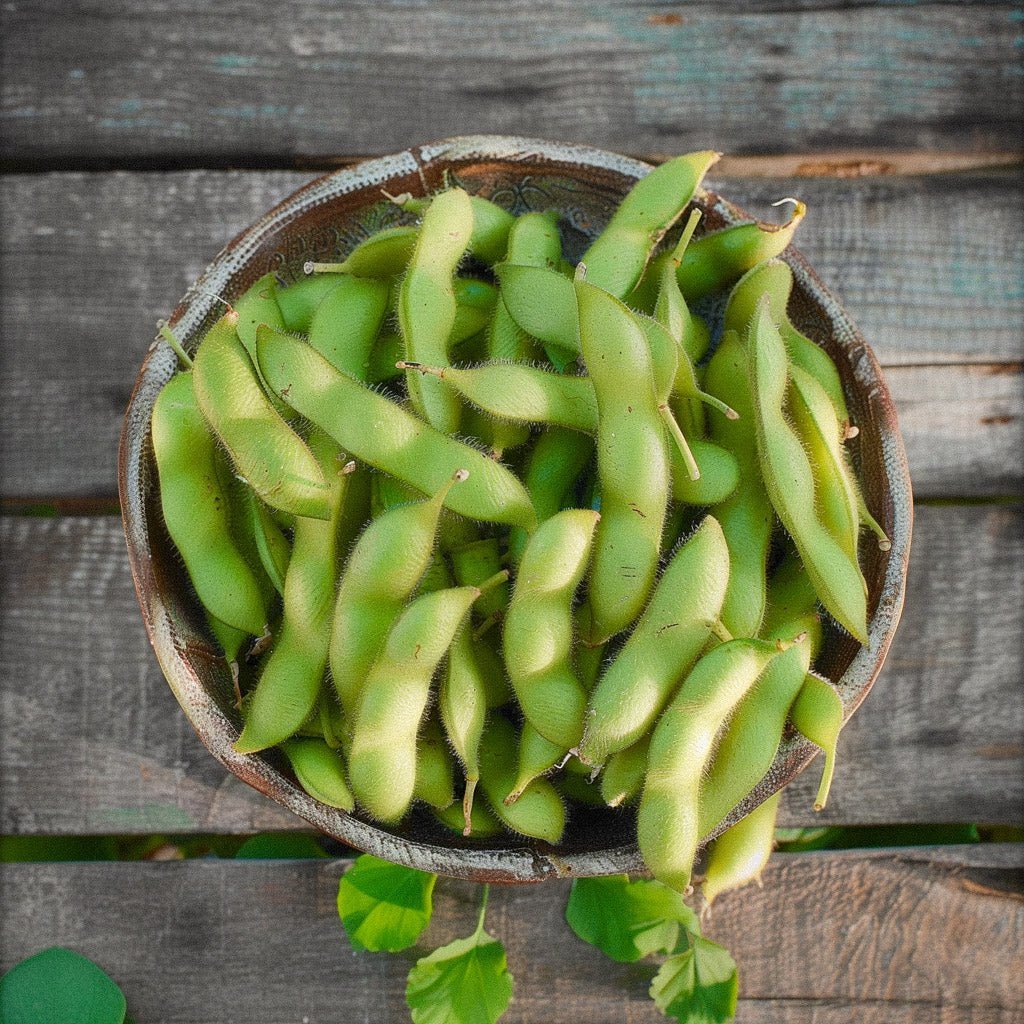 Edamame frø 'Chiba Green' - 5 Økologiske Frø