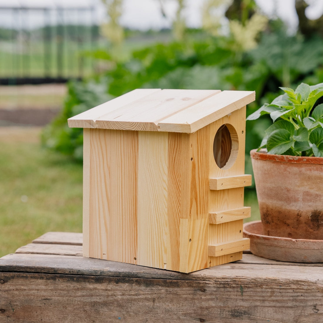 Fôrhus, ekorn, L: 19 cm B: 26 cm H: 29 cm