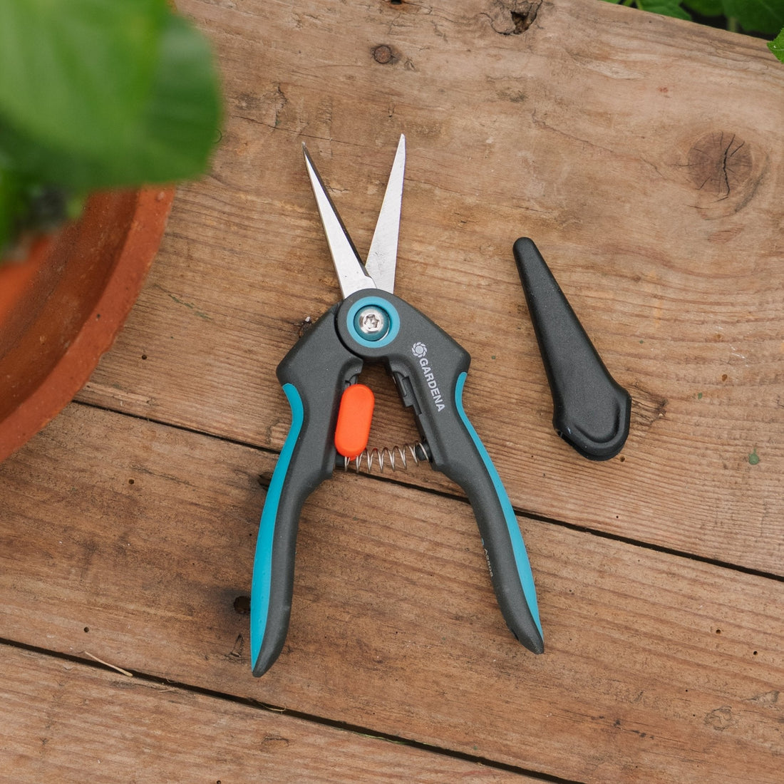 FreshCut urteklipper