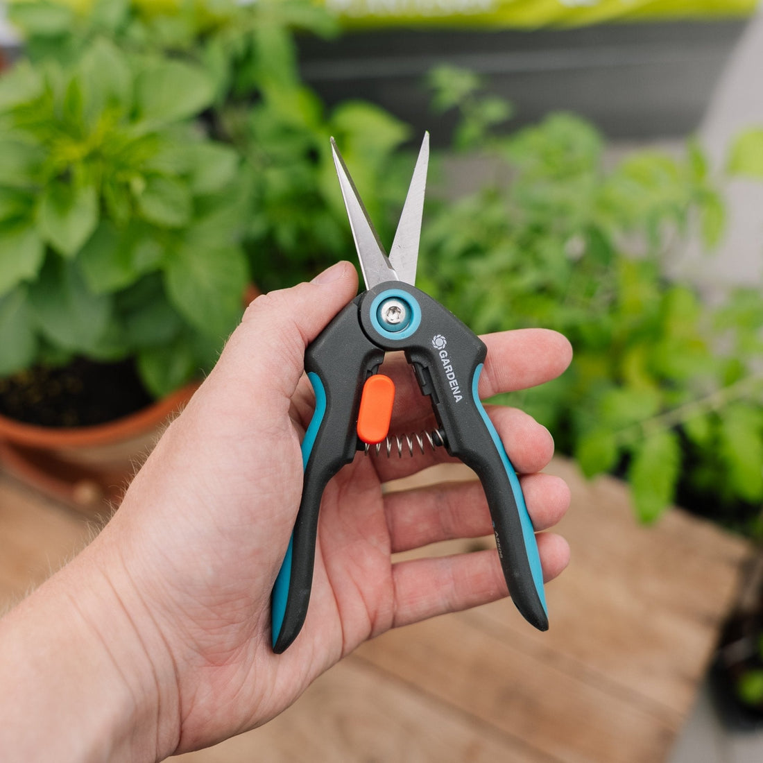 FreshCut urteklipper