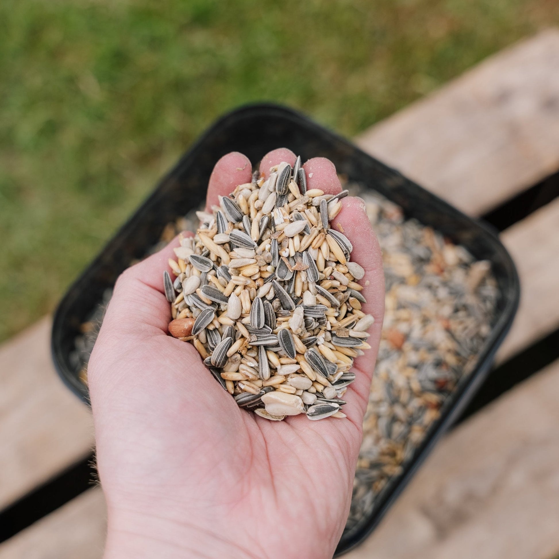 Fuglemat, Energy de Luxe mix, 5 L