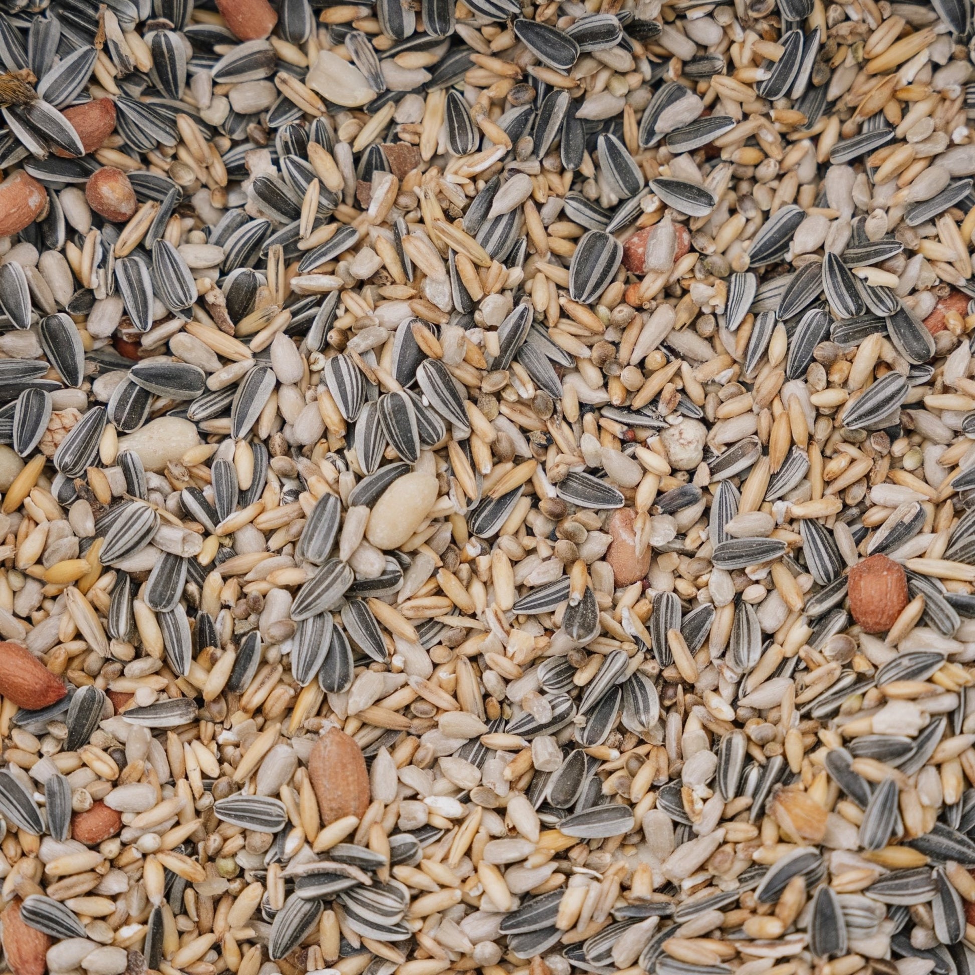 Fuglemat, Energy de Luxe mix, 5 L