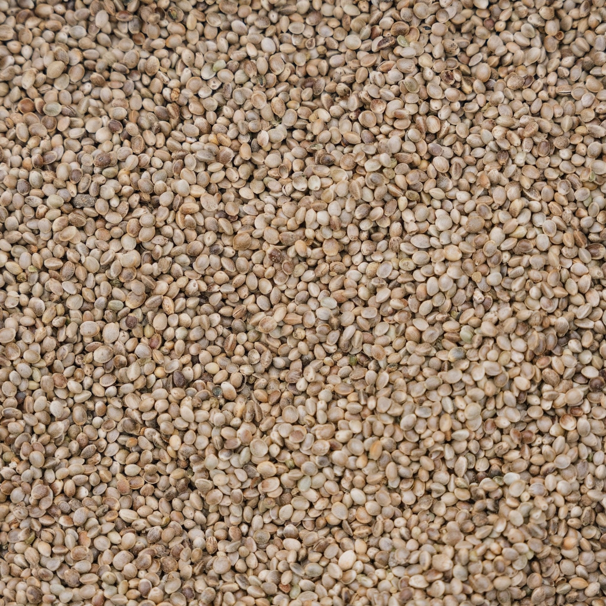 Fuglemat, Hamp de Luxe, 5 L