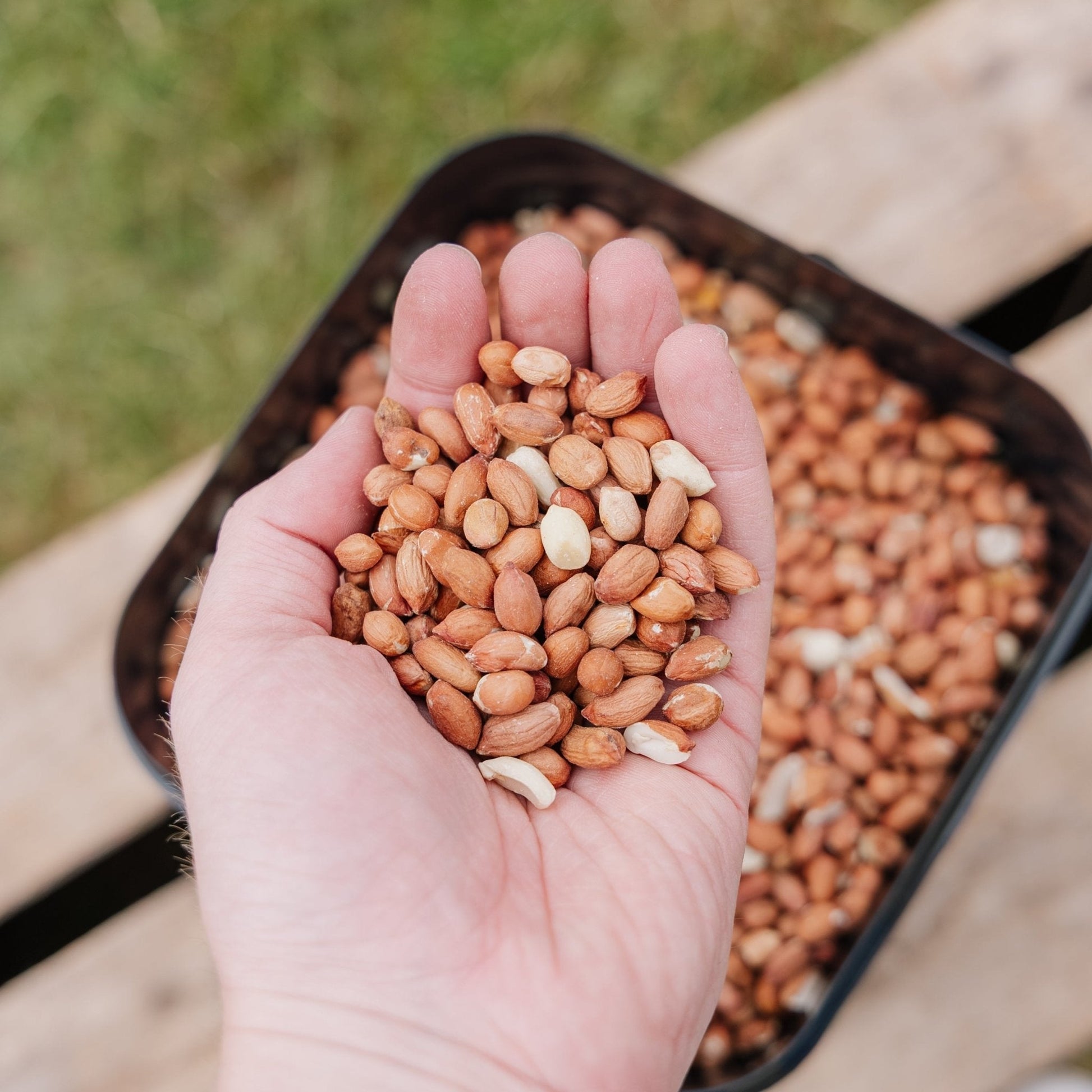Fuglemat, Peanøtter de Luxe, 5 L