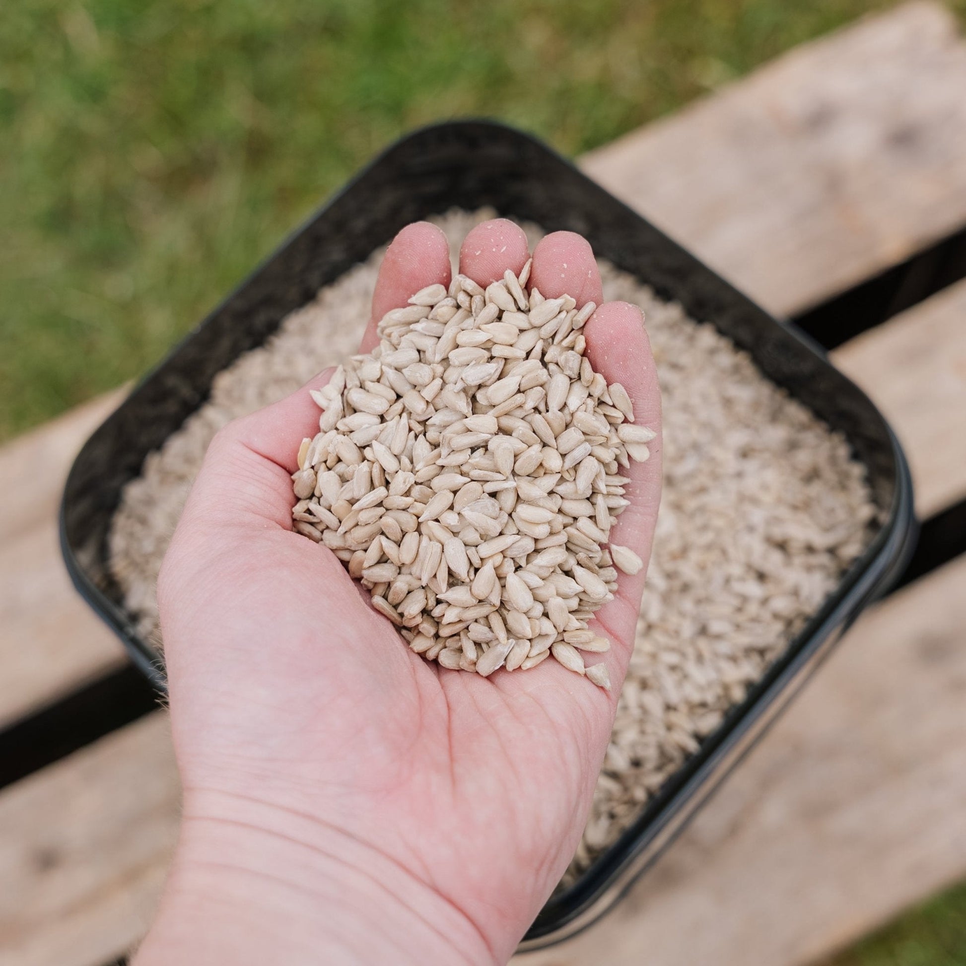 Fuglemat, Sunflower de Luxe, 5 L