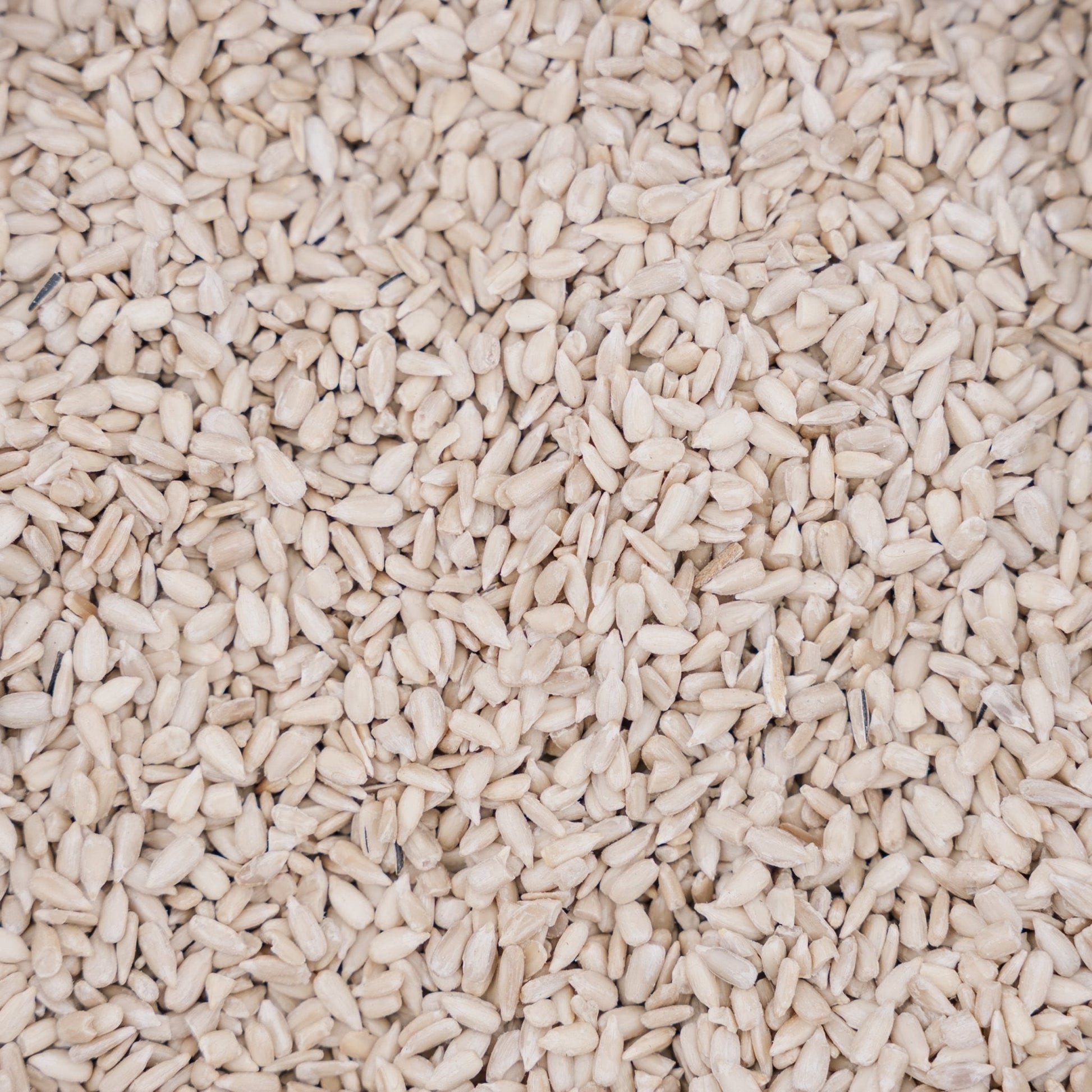 Fuglemat, Sunflower de Luxe, 5 L