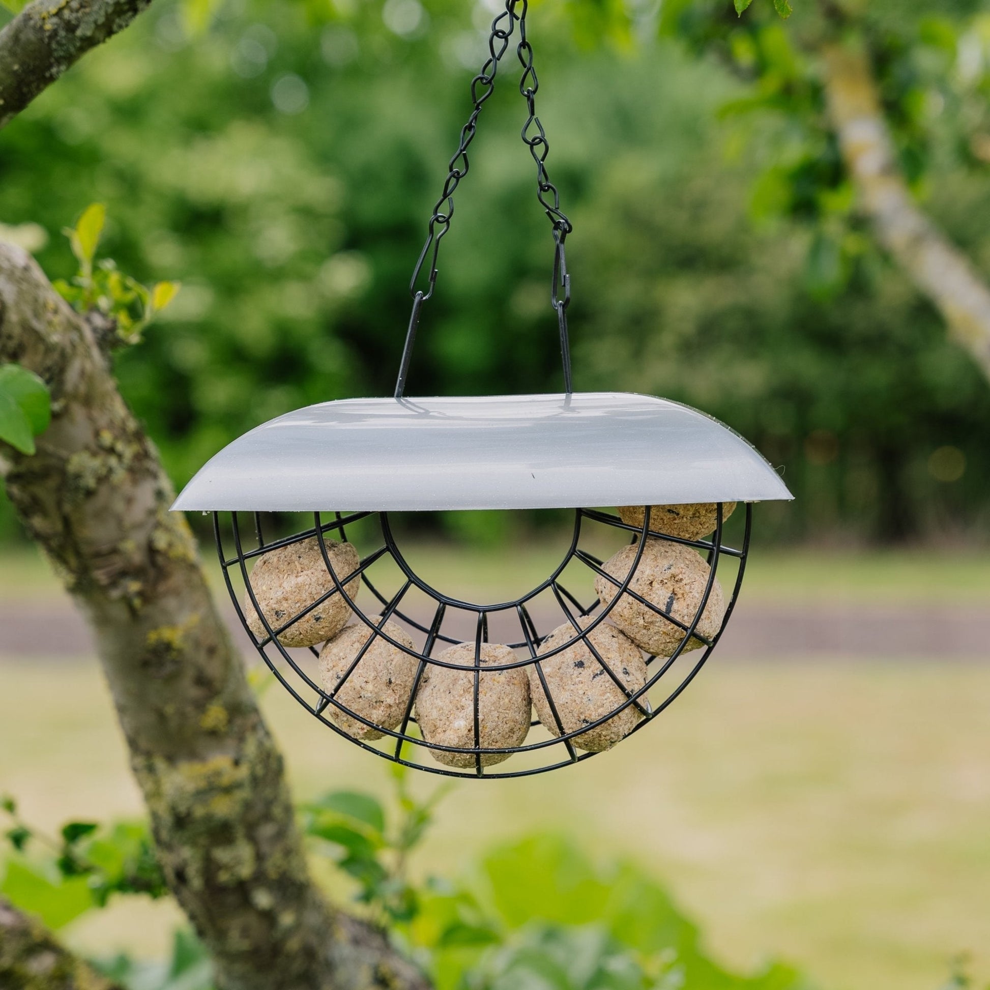 Halvmåne meiseboldeautomat, inkl. 6 meiseboller