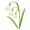 Vårblomster