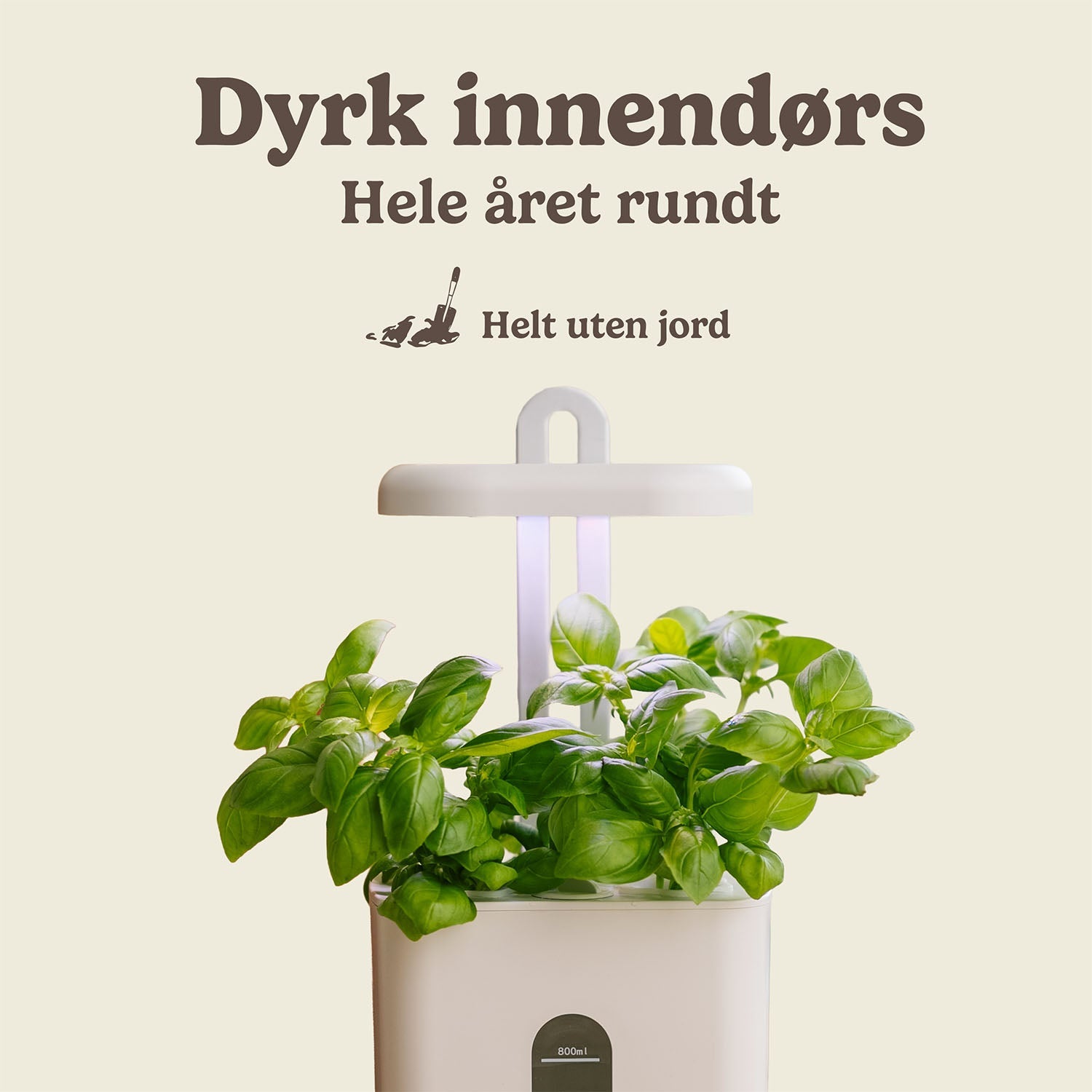 Innendørs kjøkkenhage, liten