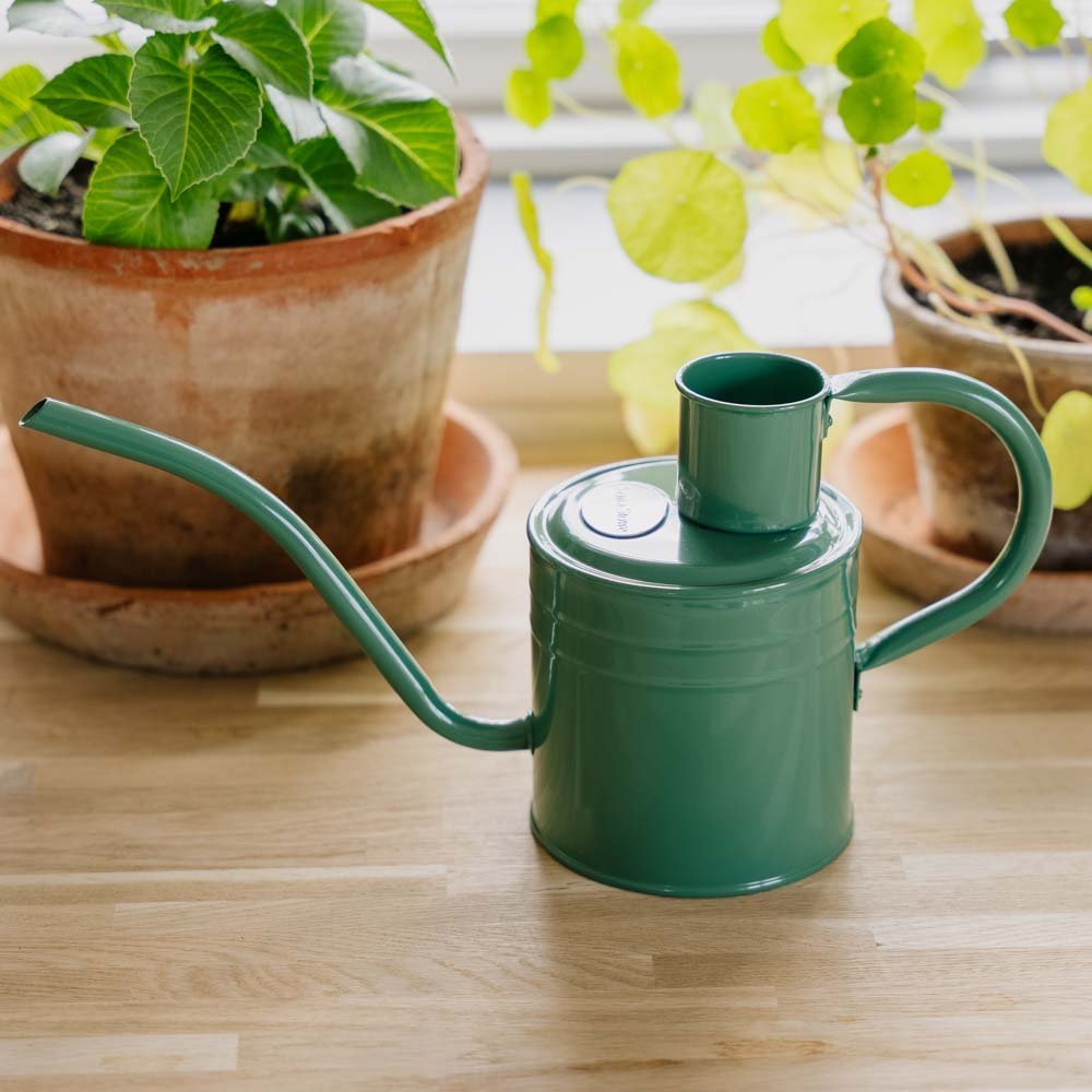 Innendørs metallvannkanne, 1 L, salviegrønn