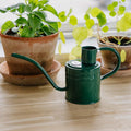 Innendørs metallvannkanne, 1 L, skogsgrønn