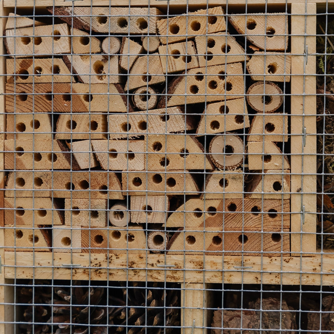 Insekthotell, natur, L: 12 cm B: 38 cm H: 43 cm