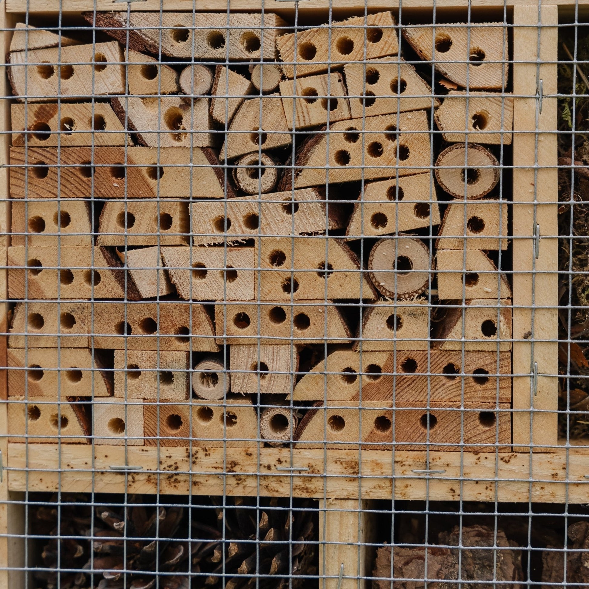 Insekthotell, natur, L: 12 cm B: 38 cm H: 43 cm